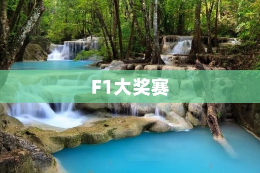 F1大奖赛：速度与**的极致竞技
