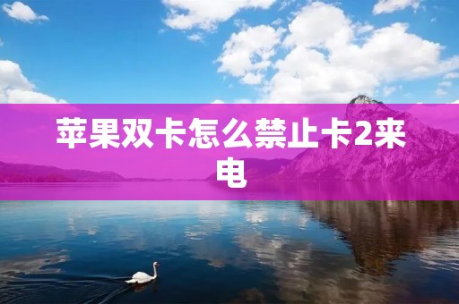 苹果双卡怎么禁止卡2来电：详细教程