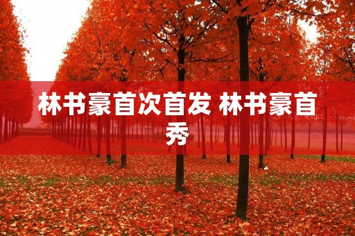 林书豪首次首发 林书豪首秀