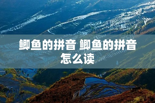 鲫鱼的拼音 鲫鱼的拼音怎么读