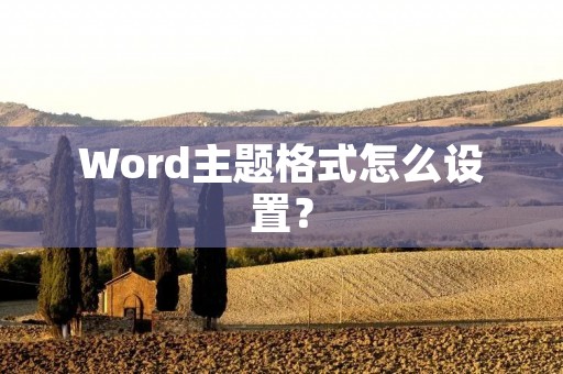 Word主题格式怎么设置？