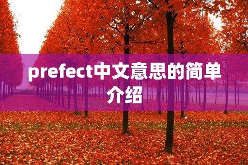 prefect中文意思的简单介绍