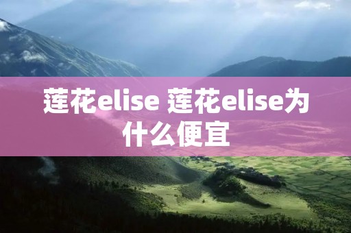 莲花elise 莲花elise为什么便宜 莲花elise 莲花elise为什么便宜