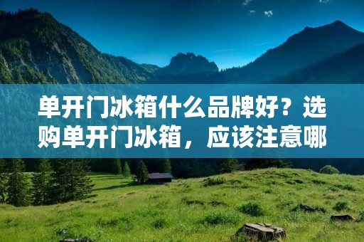 单开门冰箱什么品牌好?选购单开门冰箱,应该注意哪些问题? 单开门冰箱什么品牌好?选购单开门冰箱,应该注意哪些问题?
