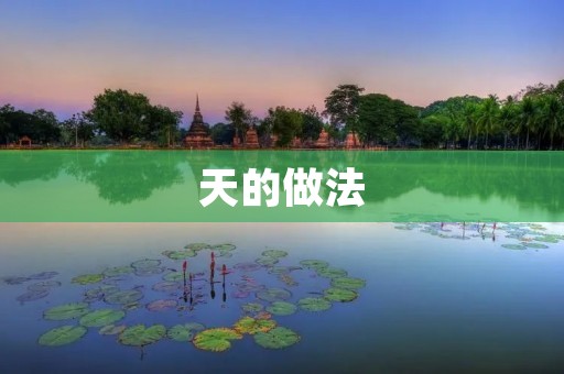 天的做法：让生活更加美好
