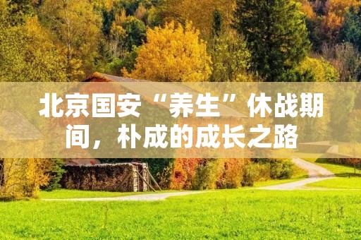北京国安“养生”休战期间，朴成的成长之路