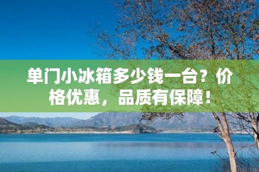 单门小冰箱多少钱一台?价格优惠,品质有保障! 单门小冰箱多少钱一台?价格优惠,品质有保障!