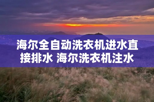 海尔全自动洗衣机进水直接排水 海尔洗衣机注水时直接排水 海尔全自动洗衣机进水直接排水 海尔洗衣机注水时直接排水