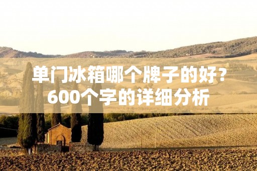 单门冰箱哪个牌子的好?600个字的详细分析 单门冰箱哪个牌子的好?600个字的详细分析