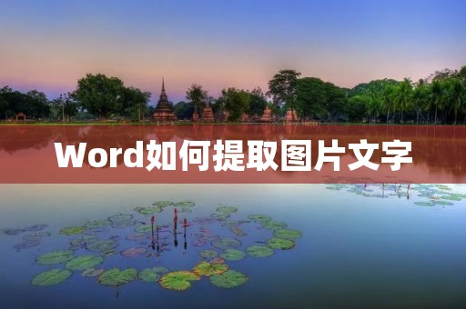 Word如何提取图片文字