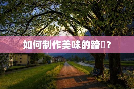 如何制作美味的蹄髈？