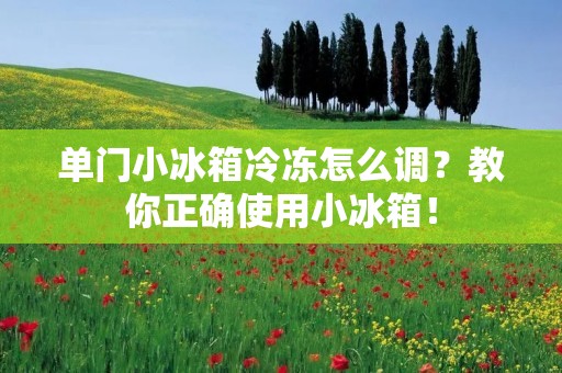 单门小冰箱冷冻怎么调？教你正确使用小冰箱！