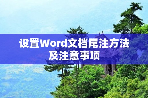 设置Word文档尾注方法及注意事项