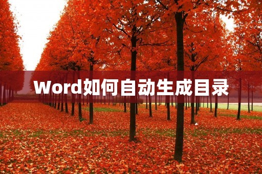 Word如何自动生成目录