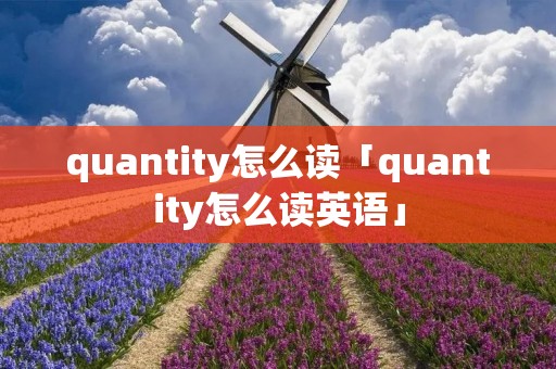 quantity怎么读「quantity怎么读英语」