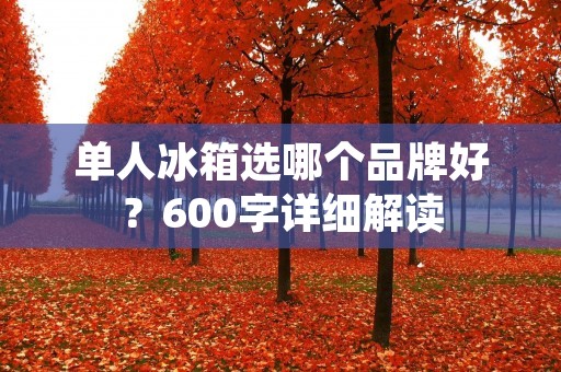 单人冰箱选哪个品牌好?600字详细解读 单人冰箱选哪个品牌好?600字详细解读