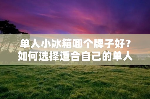 单人小冰箱哪个牌子好?如何选择适合自己的单人小冰箱? 单人小冰箱哪个牌子好?如何选择适合自己的单人小冰箱?