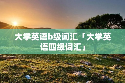 大学英语b级词汇「大学英语四级词汇」