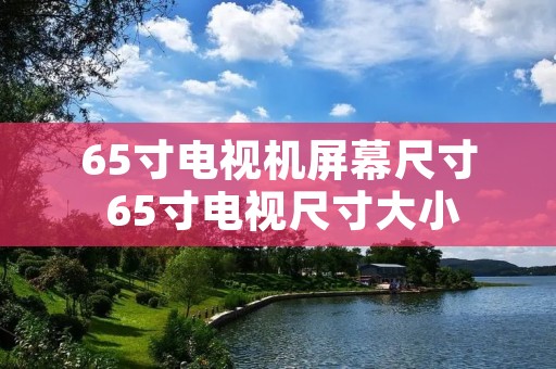 65寸电视机屏幕尺寸 65寸电视尺寸大小 65寸电视机屏幕尺寸 65寸电视尺寸大小