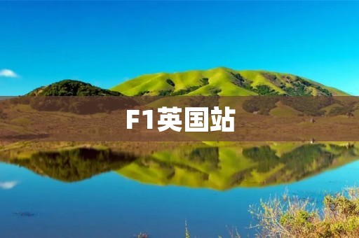 F1英国站:汉密尔顿再度夺冠,梅赛德斯车队势不可挡 F1英国站:汉密尔顿再度夺冠,梅赛德斯车队势不可挡