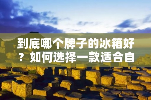 到底哪个牌子的冰箱好？如何选择一款适合自己的冰箱？