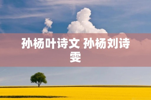 孙杨叶诗文 孙杨刘诗雯