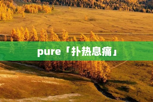 pure「扑热息痛」