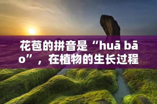 花苞的拼音是“huā bāo”，在植物的生长过程中，花苞是一个十分重要的部分。花苞是指花朵即将开放前的花蕾，它们通常比成熟的花朵小，但形状和颜色却非常美丽。花苞是植物生长发育过程中的一种重要阶段，也是人们欣赏花朵美丽的前奏。