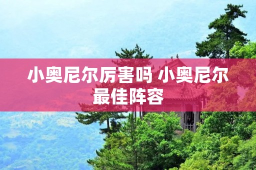 小奥尼尔厉害吗 小奥尼尔最佳阵容
