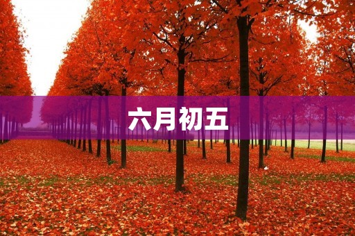 六月初五：端午节的起源与传承