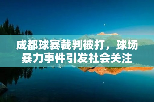 成都球赛裁判被打，球场暴力事件引发社会关注