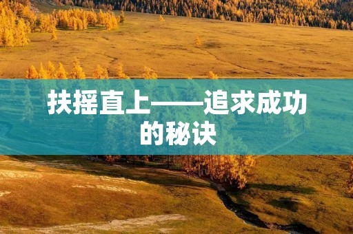 扶摇直上——追求成功的秘诀