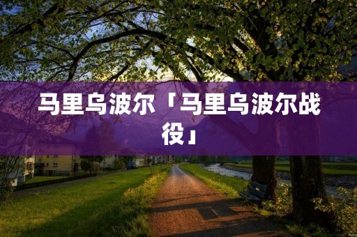 马里乌波尔「马里乌波尔战役」