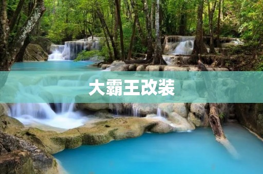 大霸王改装:让经典再续新生 大霸王改装:让经典再续新生