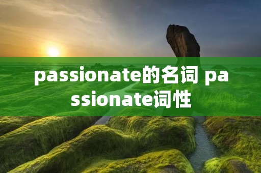 passionate的名词 passionate词性