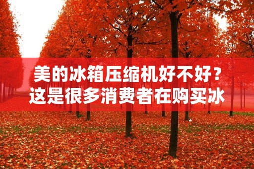 美的冰箱压缩机好不好?这是很多消费者在购买冰箱时都会思考的问题。毕竟,压缩机作为冰箱的核心部件,其质量的好坏直接关系到冰箱的使用寿命和性能。那么,美的冰箱压缩机好不好呢?下面就为大家详细介绍一下。 美的冰箱压缩机好不好?这是很多消费者在购买冰箱时都会思考的问题。毕竟,压缩机作为冰箱的核心部件,其质量的好坏直接关系到冰箱的使用寿命和性能。那么,美的冰箱压缩机好不好呢?下面就为大家详细介绍一下。