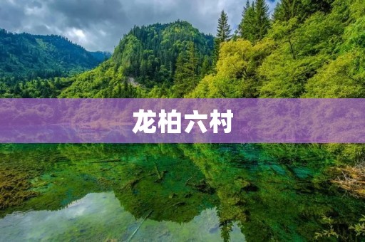 龙柏六村：一个特色鲜明的城市社区