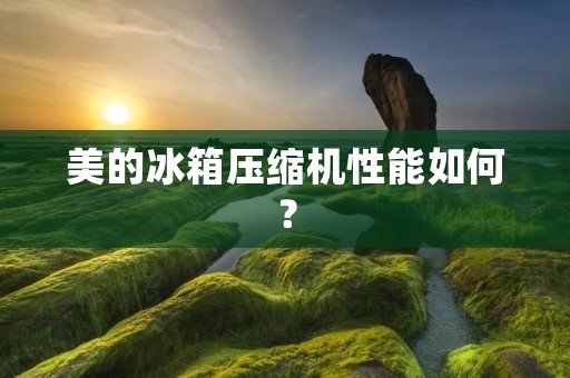 美的冰箱压缩机性能如何? 美的冰箱压缩机性能如何?