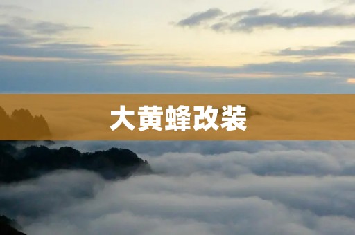 大黄蜂改装：让你的座驾更加炫酷