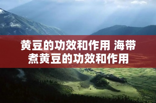 黄豆的功效和作用 海带煮黄豆的功效和作用