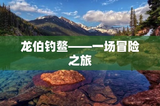 龙伯钓鳌——一场冒险之旅