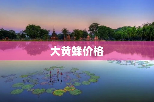 大黄蜂价格:探究市场变化与消费者心理 大黄蜂价格:探究市场变化与消费者心理