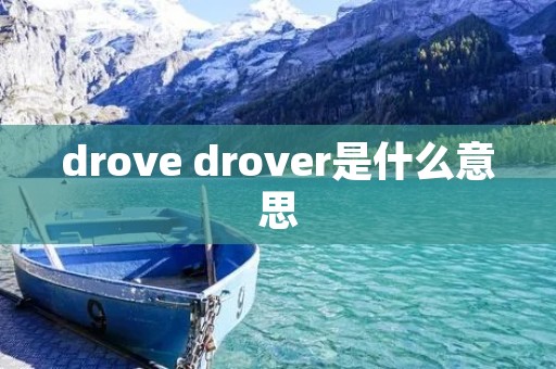 drove drover是什么意思
