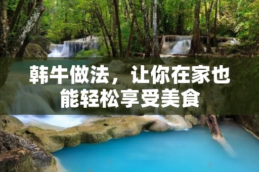 韩牛做法，让你在家也能轻松享受美食