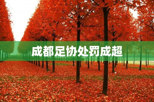 成都足协处罚成超：体育规则不能容忍任性
