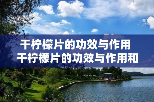 干柠檬片的功效与作用 干柠檬片的功效与作用和蜂蜜 干柠檬片的功效与作用 干柠檬片的功效与作用和蜂蜜