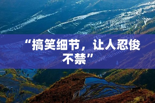 “搞笑细节,让人忍俊不禁”