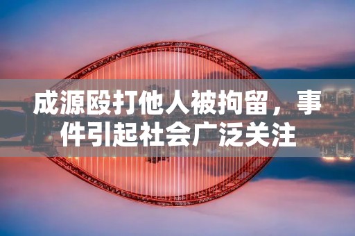成源殴打他人被拘留，事件引起社会广泛关注