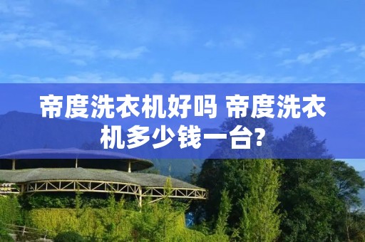 帝度洗衣机好吗 帝度洗衣机多少钱一台?