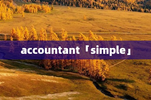 accountant「simple」
